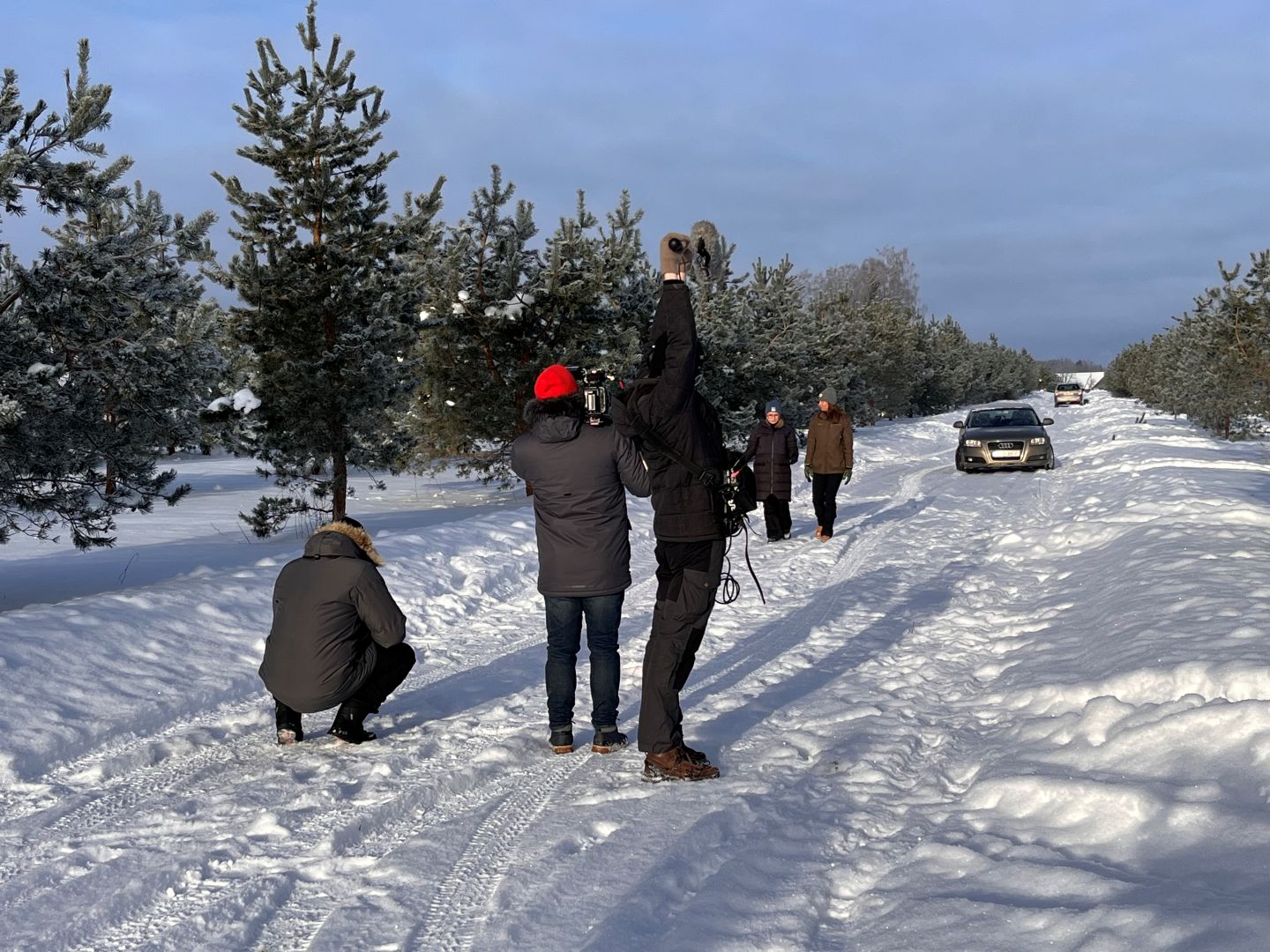 Uudise "Maahommik käis uurimas, kust saab mets alguse" eelvaate pilt