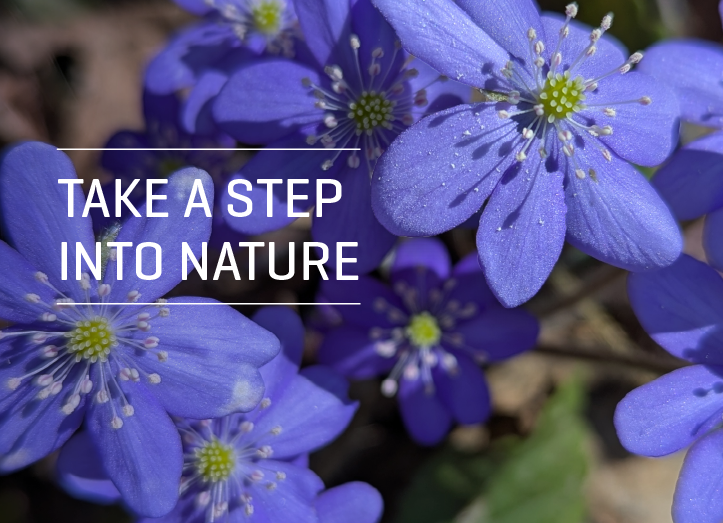 Take a step into nature!