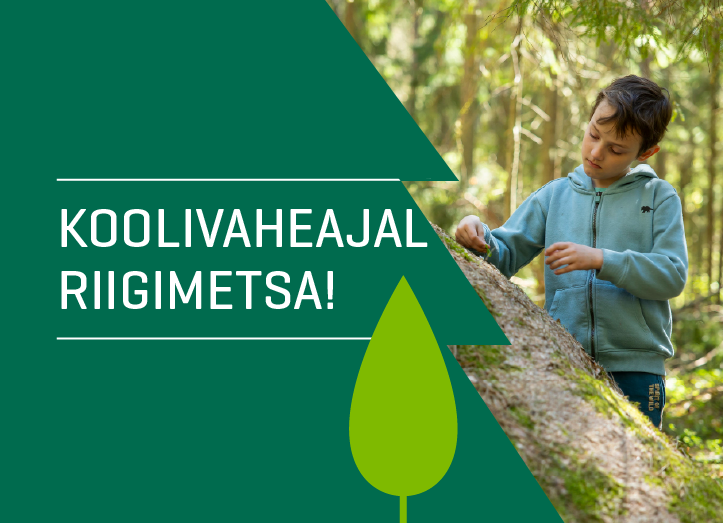 Koolivaheajal riigimetsa kevad 2026