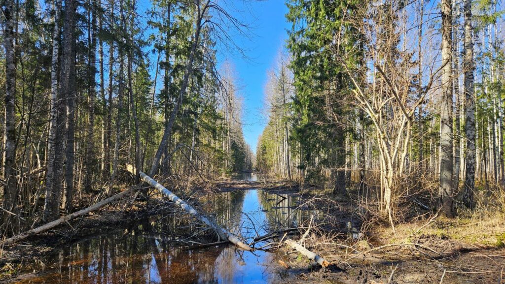 Rail Balticu Mõtuse kompensatsiooniala