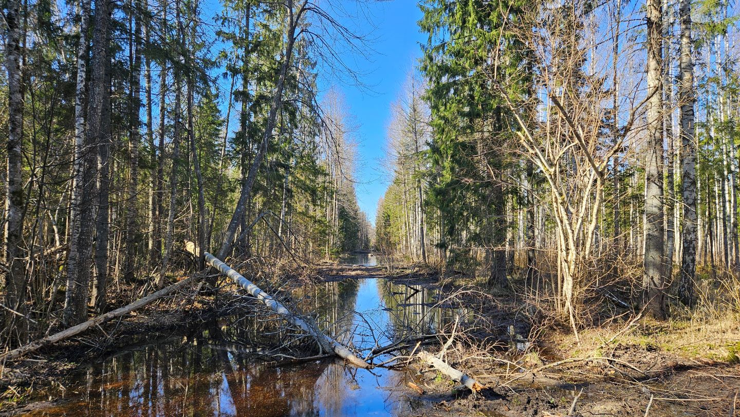Uudise "Miks on kinniaetud kraavidel paiguti peal vesi?" eelvaate pilt