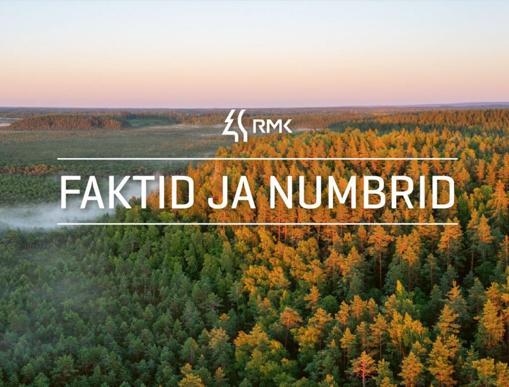 Faktid ja numbrid 2025