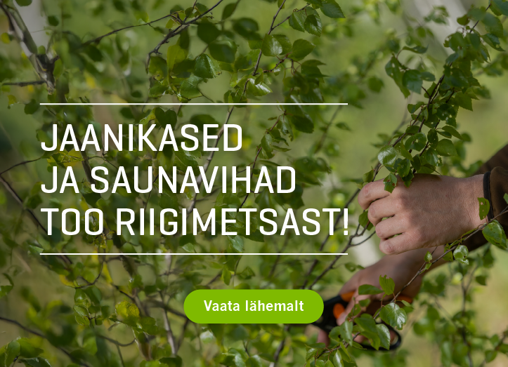 Jaanikased ja saunavihad riigimetsast!