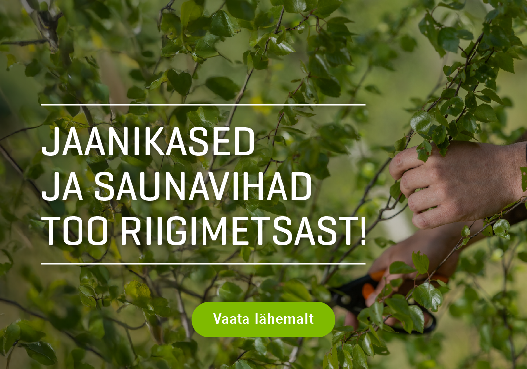 Jaanikased ja saunavihad riigimetsast!