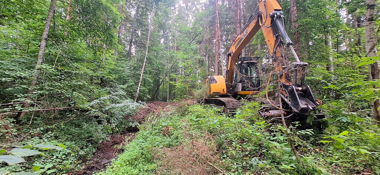 Uudise "Kikepera looduskaitsealal jätkuvad märgade metsade taastamistööd" eelvaate pilt