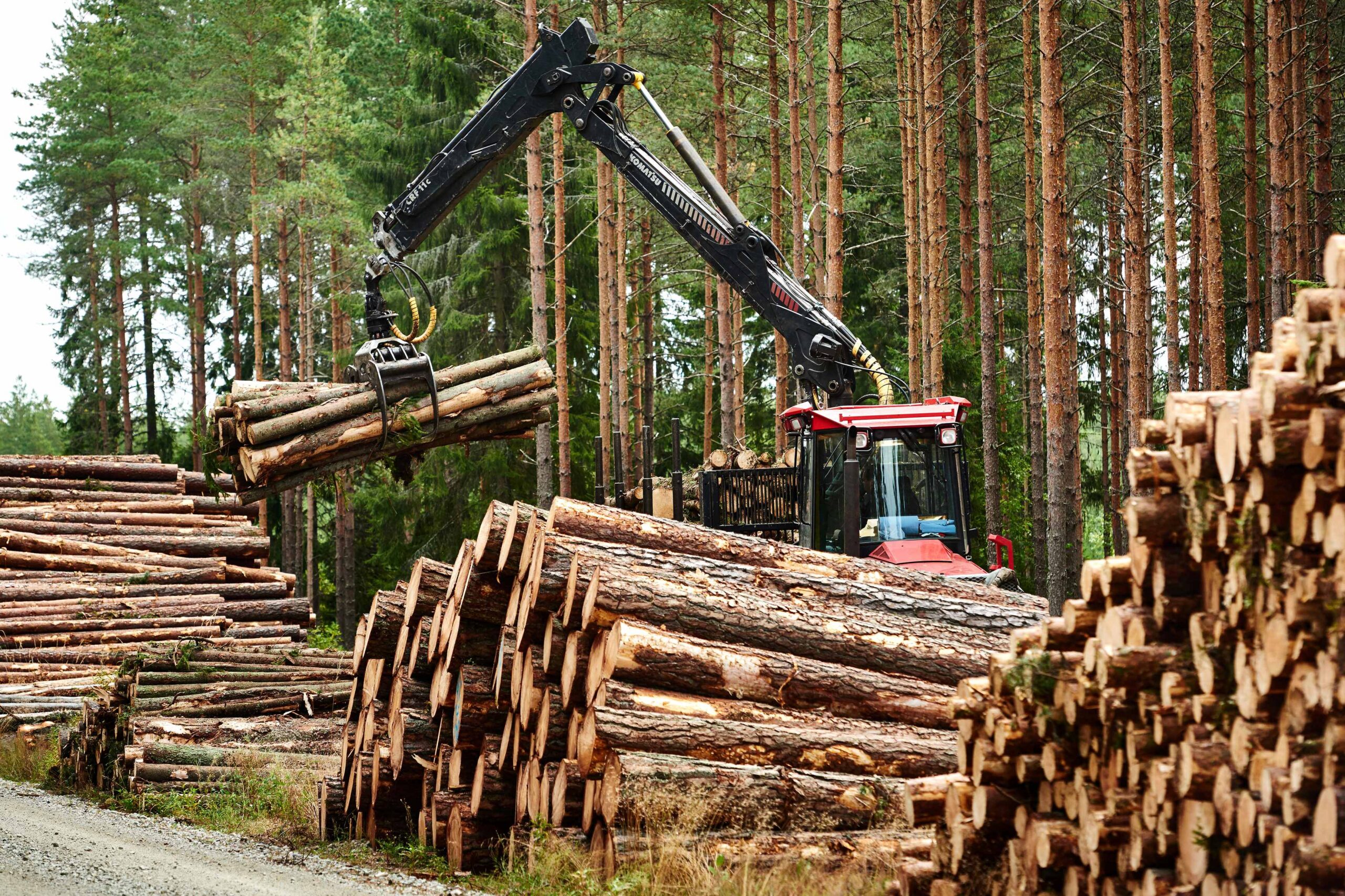 Uudise "RMK jätkab paberipuidu väärindamise arendamist Horizoniga " eelvaate pilt