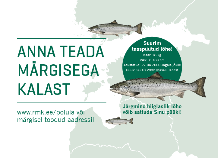 Noorkalade märgistamine