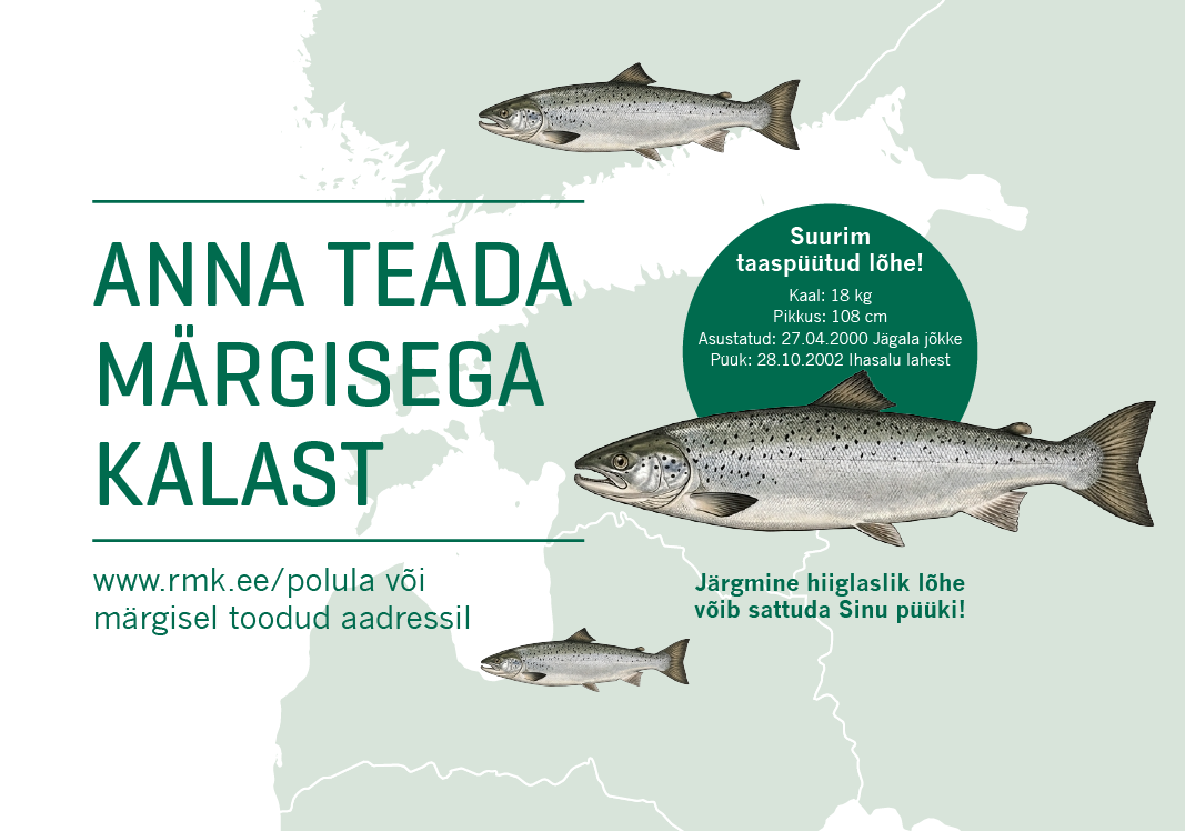 Noorkalade märgistamine