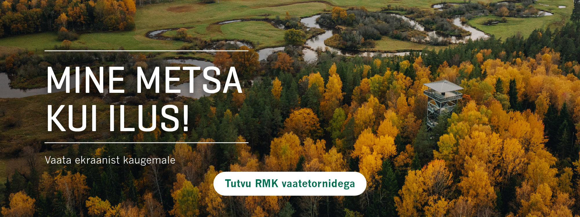 Mine metsa kui ilus