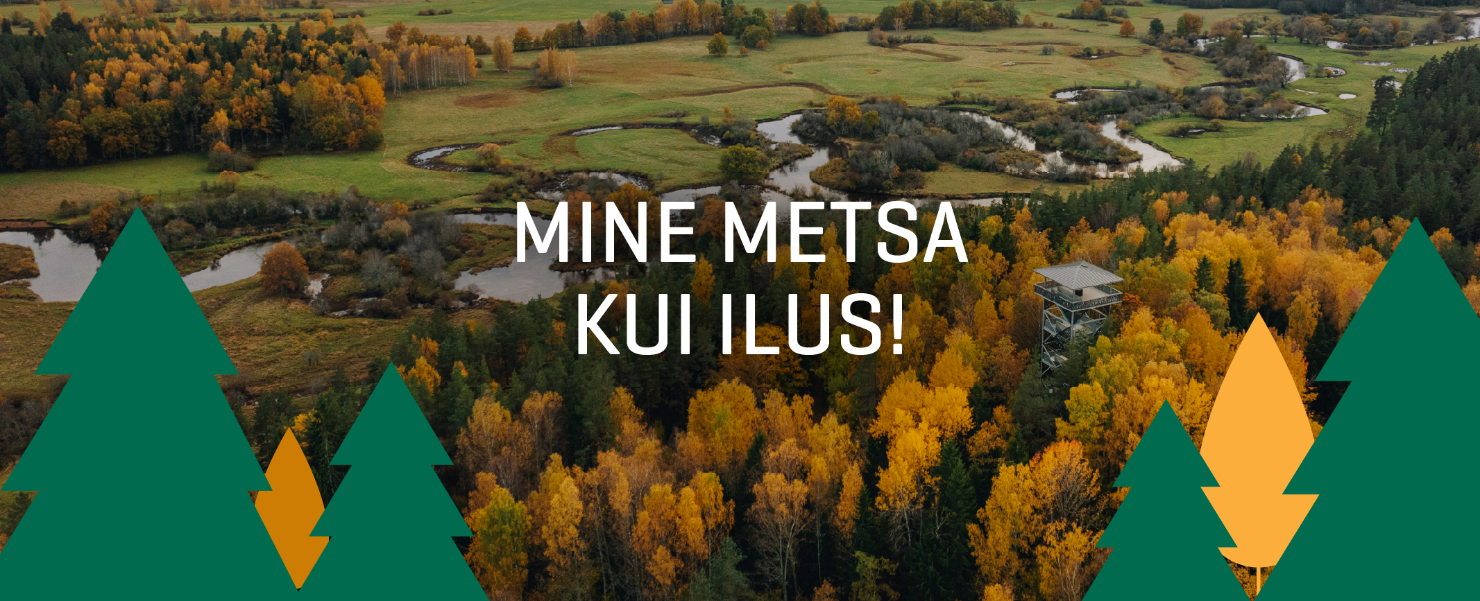 Mine metsa kui ilus!
