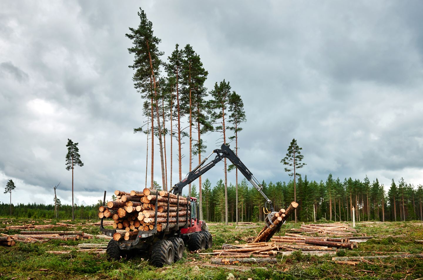 Uudise "RMK ettepanek 2027. aasta uuendusraiete pindalaks on 8445 hektarit" eelvaate pilt